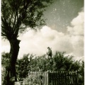 A11739