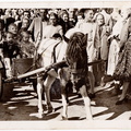 A13170